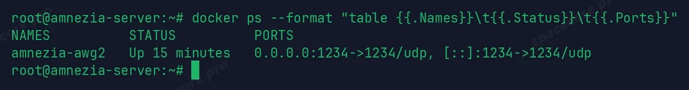 Контейнер amnezia-awg2 в выводе docker ps