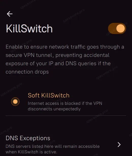 Настройки KillSwitch в AmneziaVPN