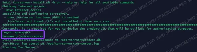 Terminal prompts for the TorrServer login and password