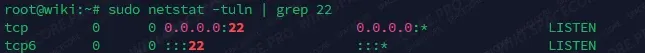 Output of the netstat command for port 22