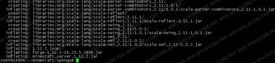 Terminal: unpacking the archive with libraries and cores