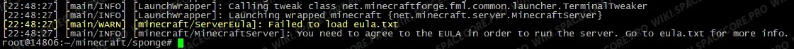 Server message about needing to accept the eula
