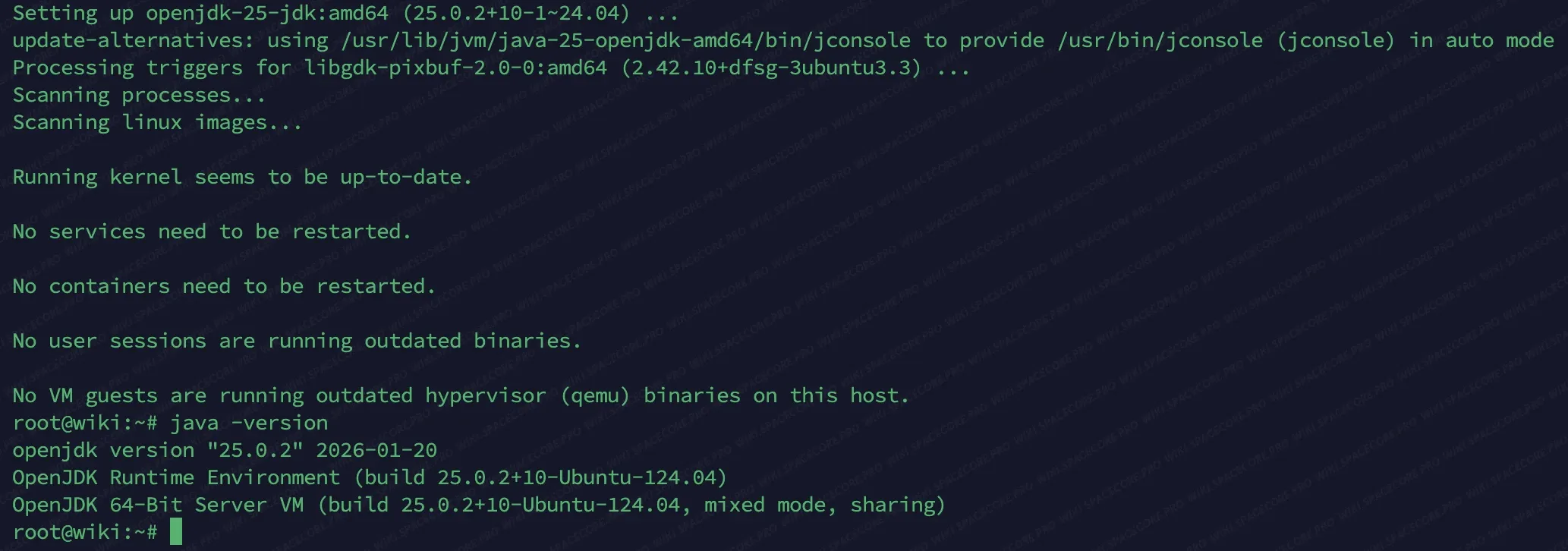 Вывод команды java -version с установленной JDK 25