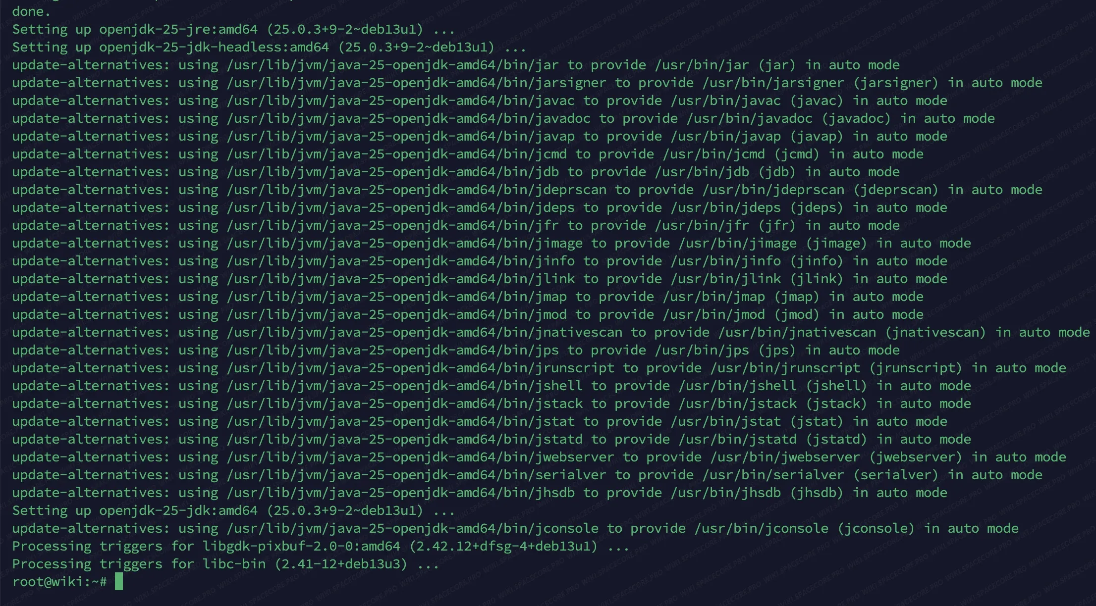 Установка пакета openjdk-25-jdk в Debian 13