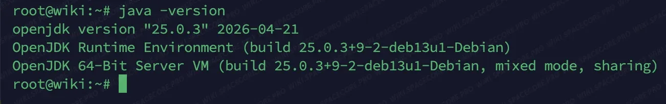 Вывод команды java -version с установленным JDK 25