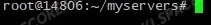 Empty terminal in the myservers directory