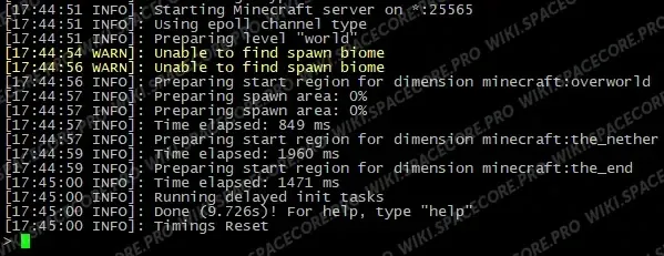 Paper server startup log