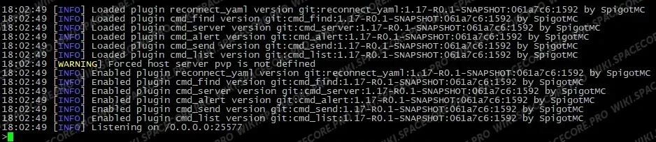 BungeeCord startup log on port 25577