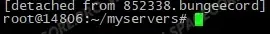 detached from bungeecord message
