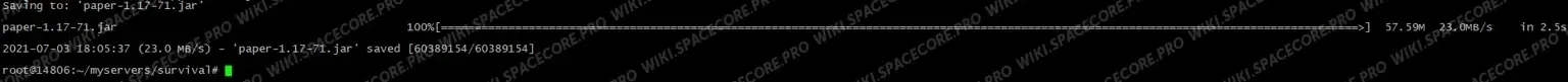 Downloading paper-1.17-71.jar with wget