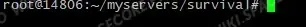 Empty terminal inside the survival Screen window