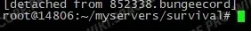 detached from bungeecord message
