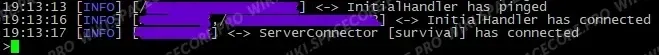 BungeeCord log with InitialHandler and ServerConnector