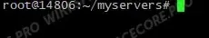 Empty terminal inside a new Screen window