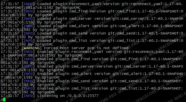 BungeeCord startup log on port 25577