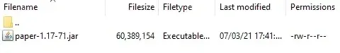 paper-1.17-71.jar file in the directory